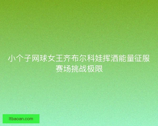 小个子网球女王齐布尔科娃挥洒能量征服赛场挑战极限 小个子网球女王齐布尔科娃挥洒能量征服赛场挑战极限